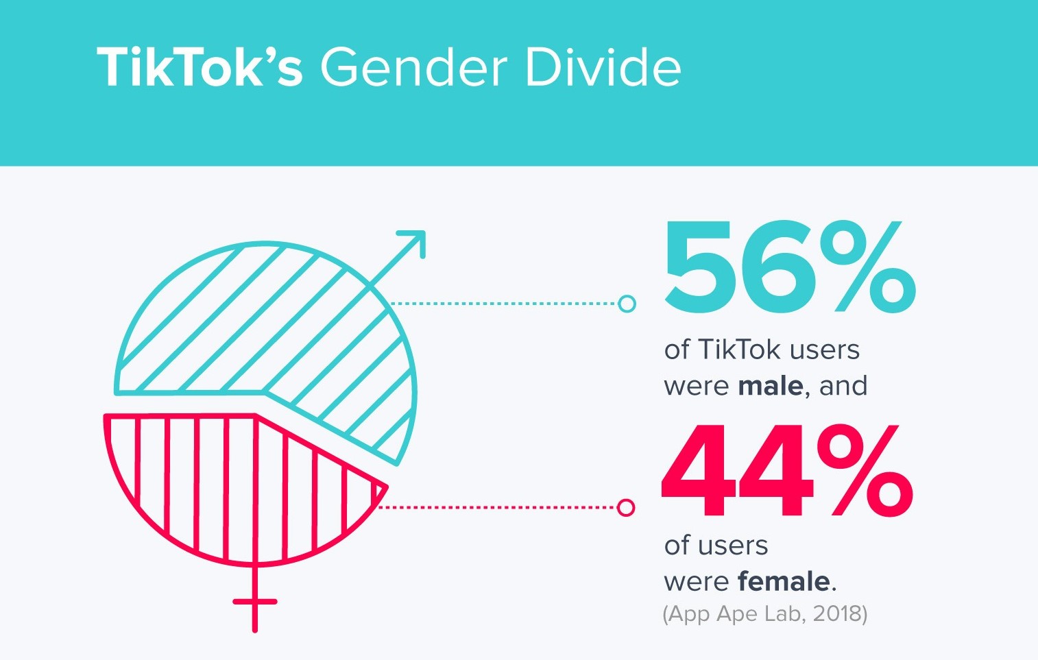 Данные тикток. TIKTOK marketing. TIKTOK marketing partners. Understanding statistics. Audience Division.